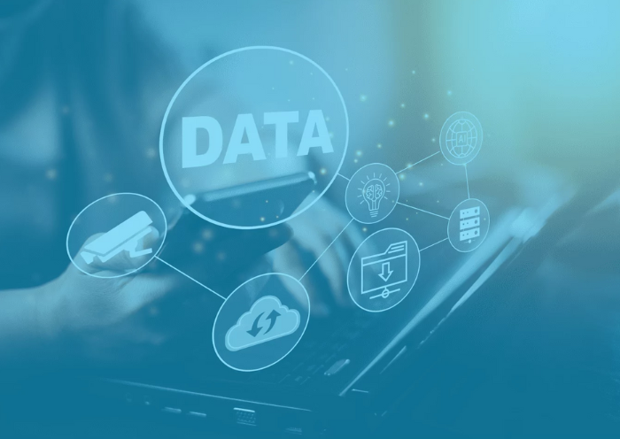 Data Loss Prevention Services